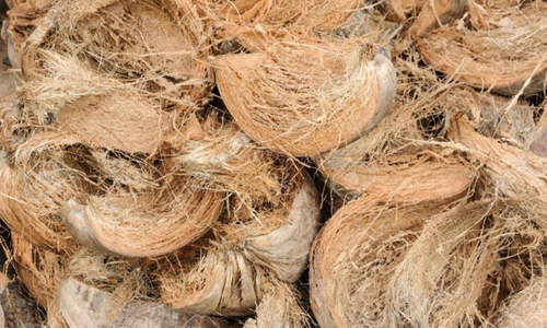 Raw Material Selection