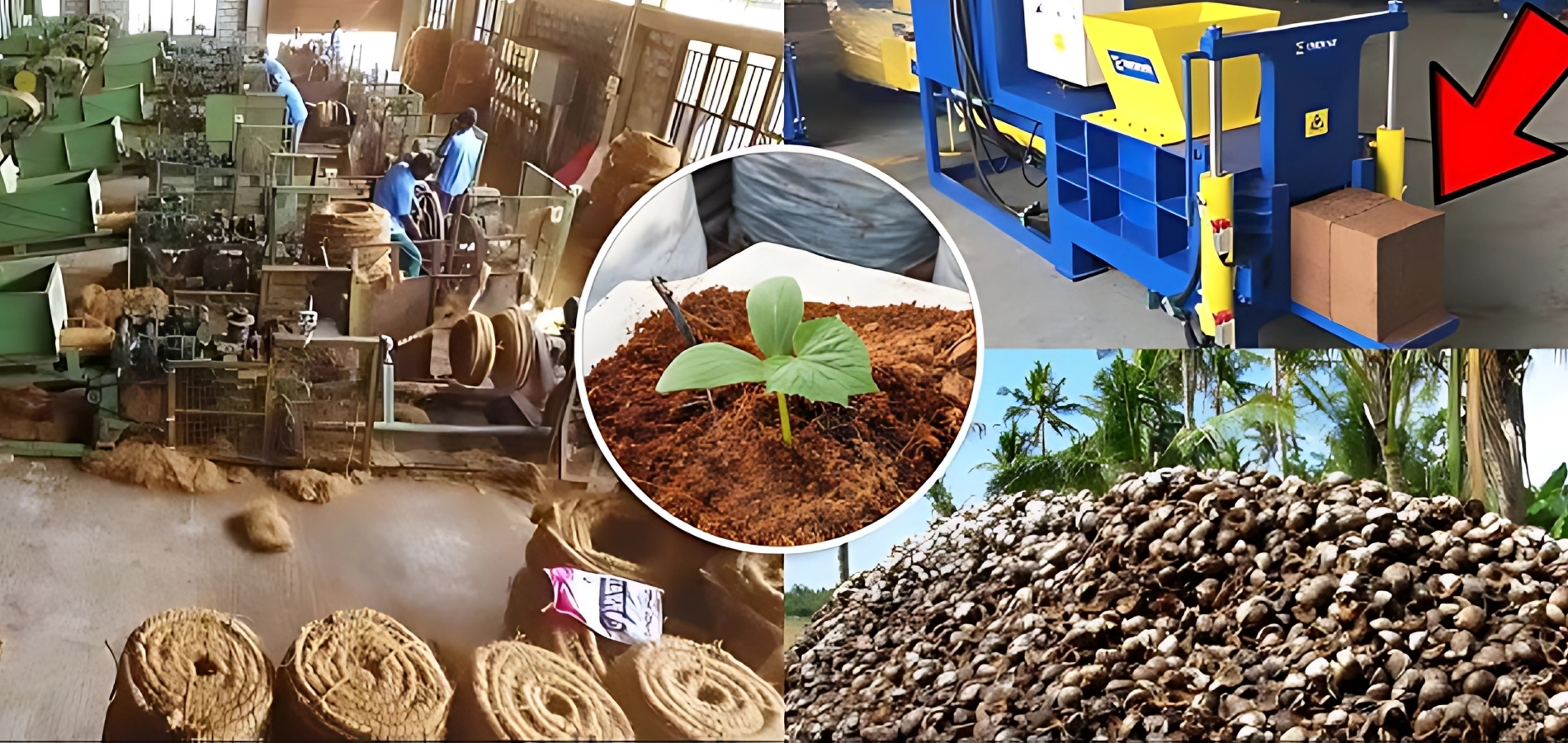 Cocopeat Manufacturing
