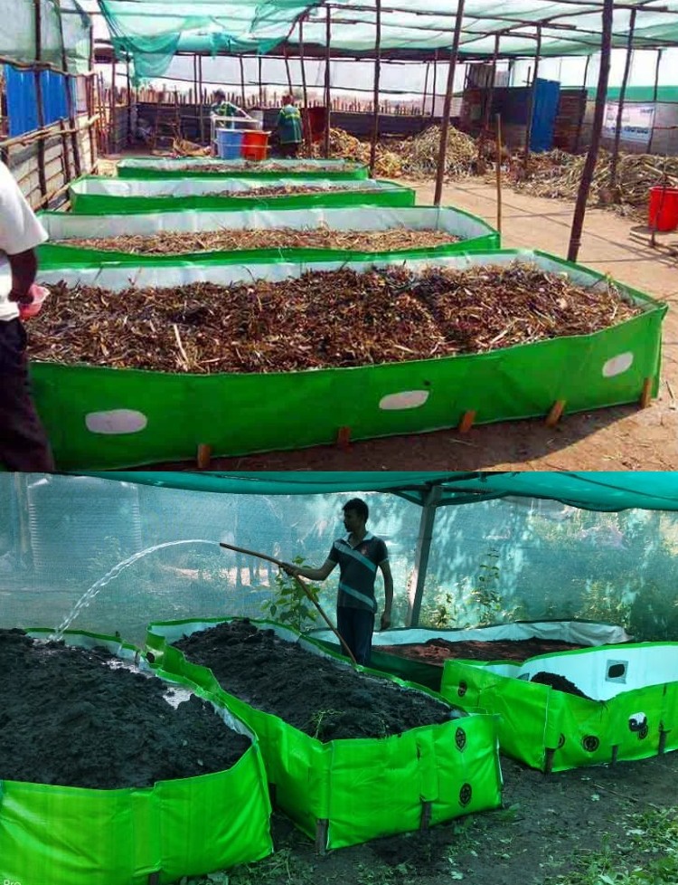 About Soilganic Gaurs