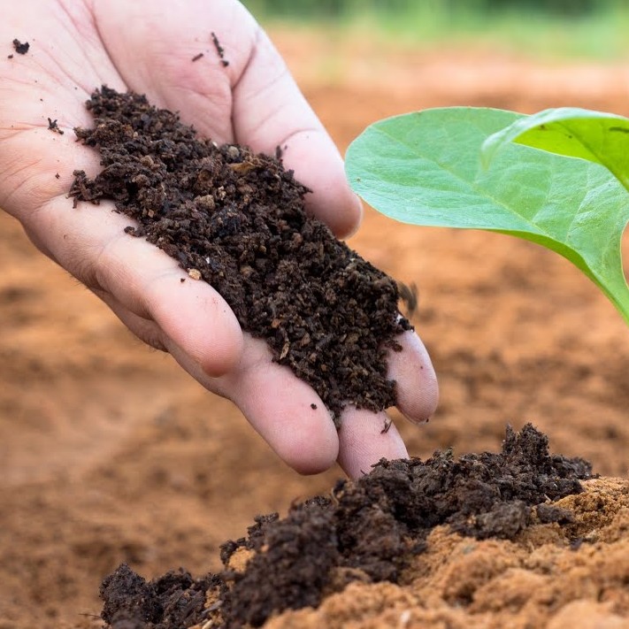 Premium Vermi Compost 20 KG